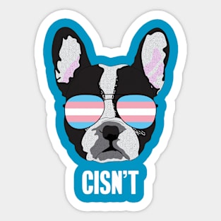 CISN'T - Boston Terrier Dog Trans Transgender Pride Flag Sticker